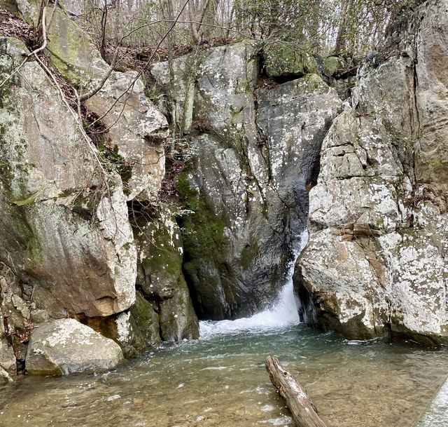 Preview image of The 5 Best Family-Friendly Hikes in Chattanooga